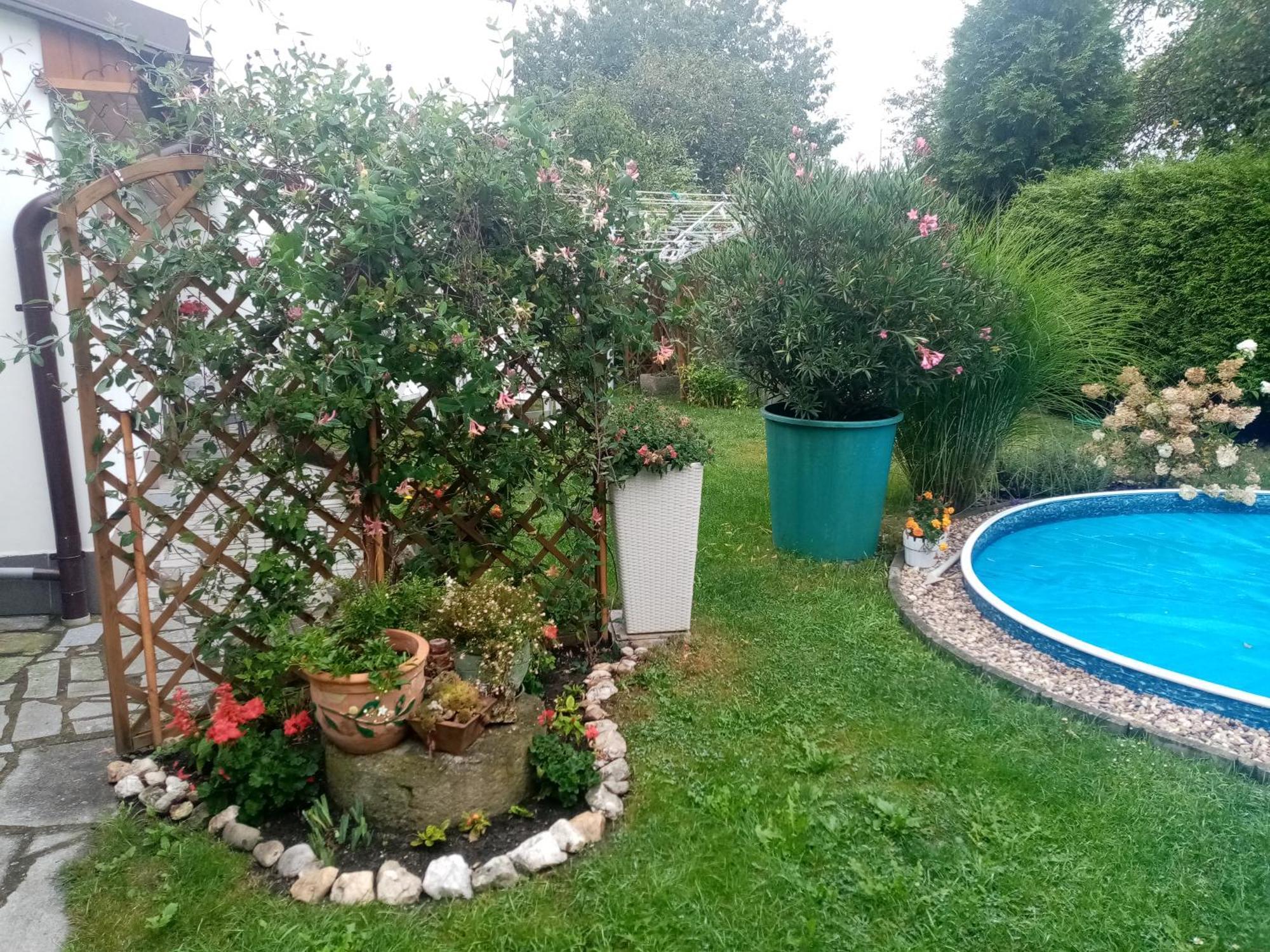 Studio Jindřichŭv Hradec Dış mekan fotoğraf